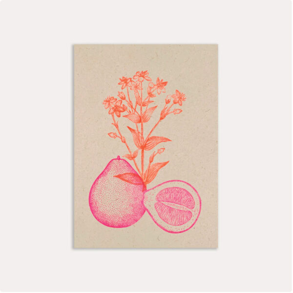 Postkarte Pomelo