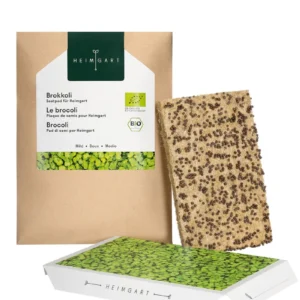 Brokkoli Microgreens Saatpad