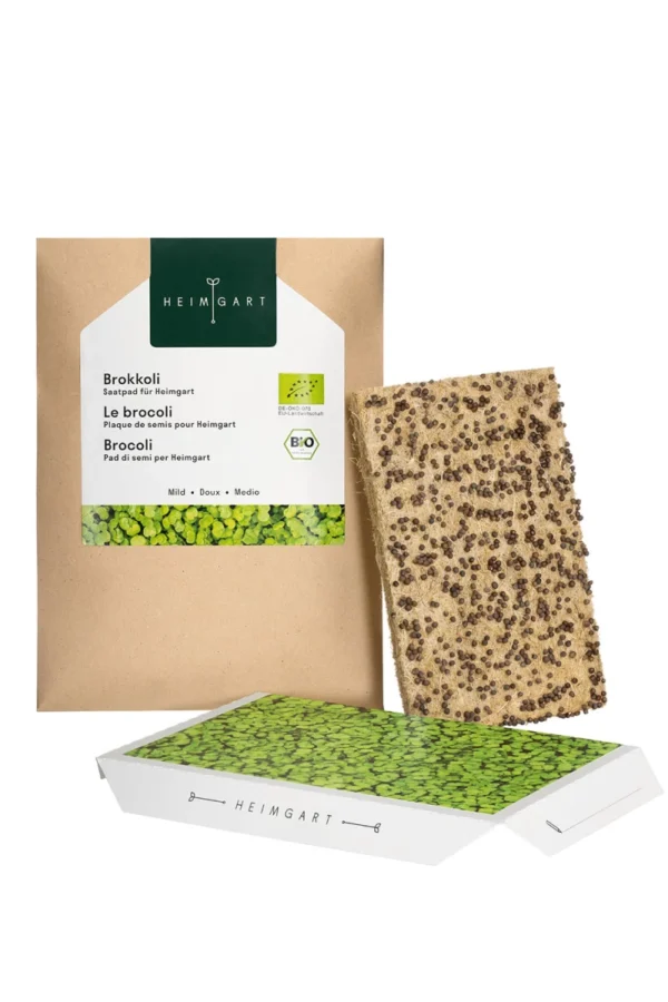 Brokkoli Microgreens Saatpad