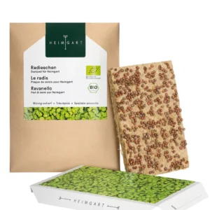 Radieschen Microgreens Saatpad