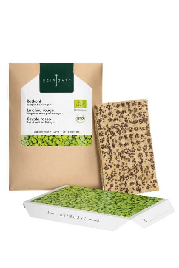 Rotkohl Microgreens Saatpad