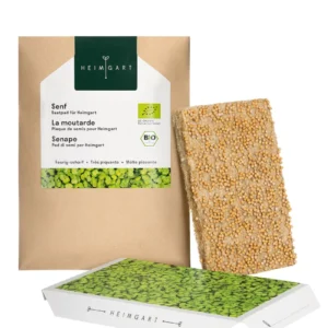 Senf Microgreens Saatpad