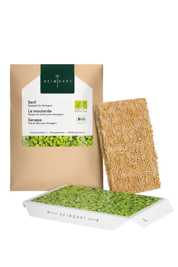 Senf Microgreens Saatpad