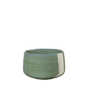 Matcha-Schale matsu shiny
