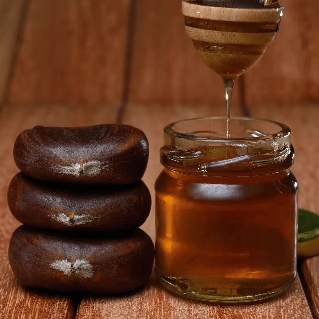 Kastanienhonig – Bild 2